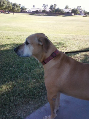04 hercules