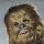 00 Chewbacca