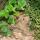 01 chewy