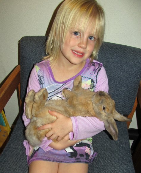 06 hannah chewy