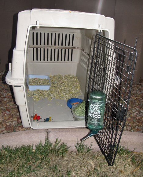 11 cage
