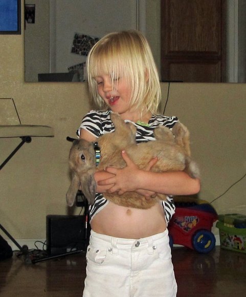 13 hannah chewy
