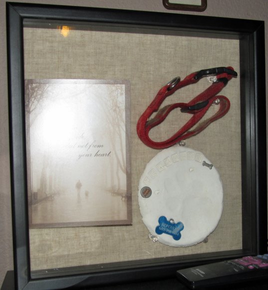 21 hercules shadowbox