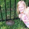 turtle hannah
