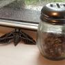 29 moth