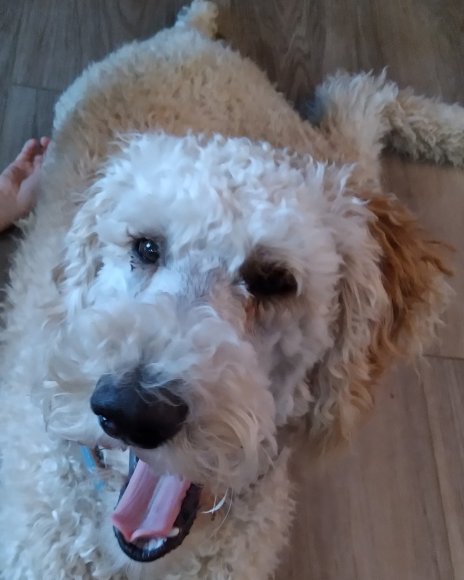 sammy december (3)