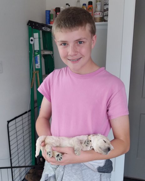 puppies 2