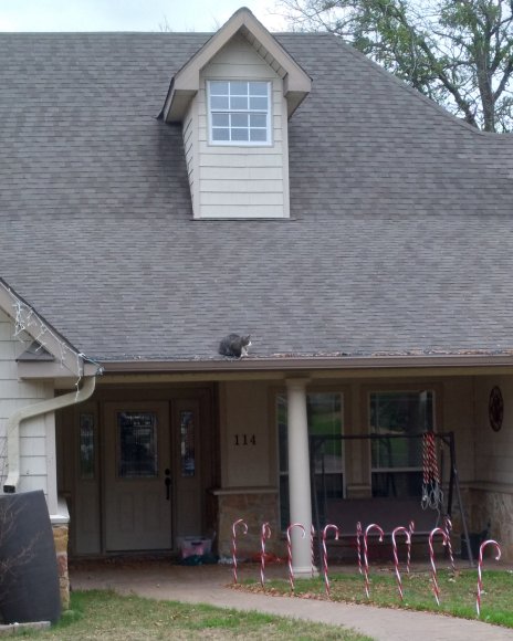 Rift on roof