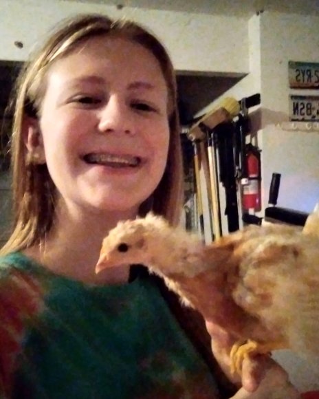 chicks (1)