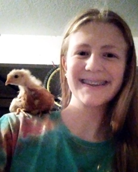 chicks (2)