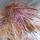 hurt chicken and hurt sam (2)