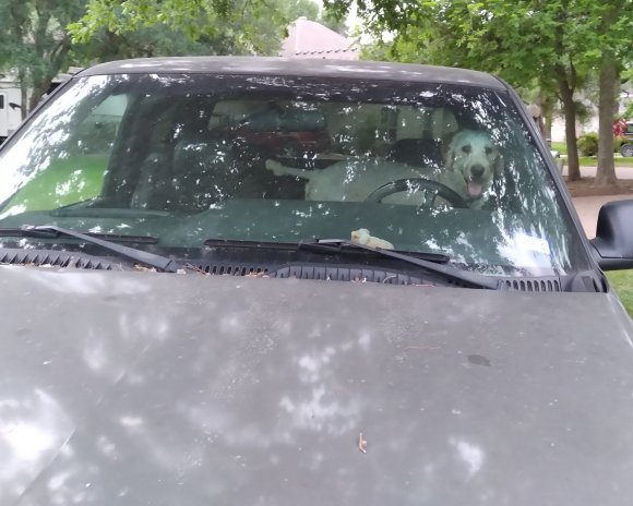 sam (1) truck