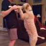 sammy (10)