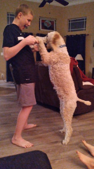 sammy (10)