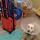 03 dogs fixed (4)
