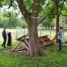 treehouse (2)