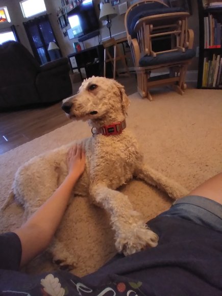 sam