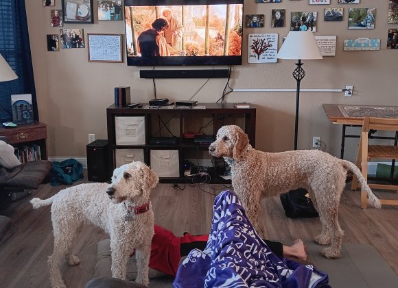 first time watching LOTR with sam and frodo
