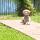 sam (1)