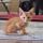 20250622_135342