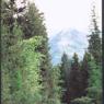 view1