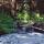 morrell falls - amy