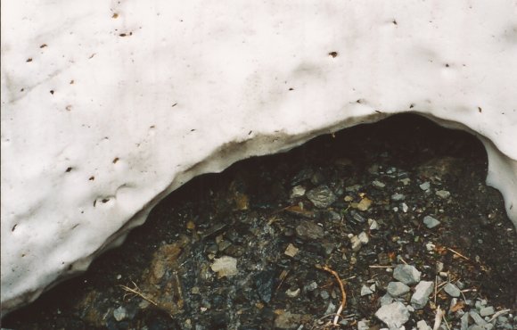snow shelf