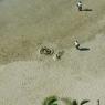 sand_castle_from_room