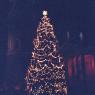 christmastree and cathedral