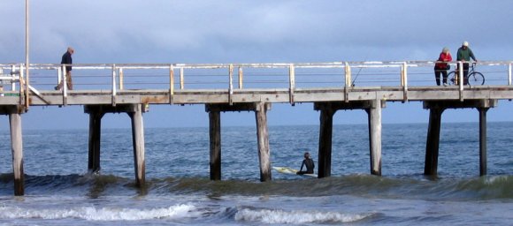 11 henley beach crazy surfer