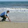 11 henley beach nate lisa