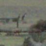 kooringa