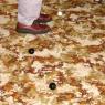 12 bordertown carpet bowling