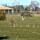 18 wildlife field