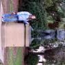 20 sydney statue lisa