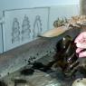 20 Sydney Aquarium shark egg