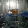 21 sydney minus5 ice glass