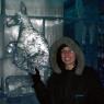21 sydney minus5 kangaroo