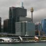 20 Sydney skyline13 SydneyTower
