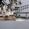20 sydney opera house  and bridge6