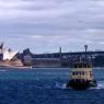 20 sydney opera house and harbor bridge5
