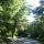blue ridge pkwy 29