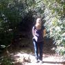 blue ridge pkwy 33