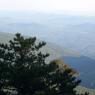blue ridge pkwy 50