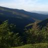 blue ridge pkwy 51