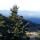 blue ridge pkwy 55