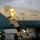 02 admirals plane