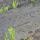 26 petroglyph holes7