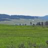 29 view of hayden valley from clear lake trail
