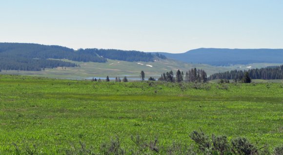 29 view of hayden valley from clear lake trail